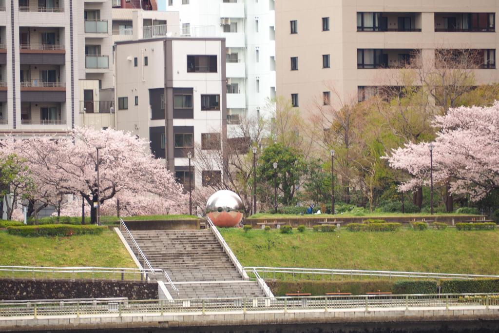  I want to roll a large ball in Sumida River Hatoba Park