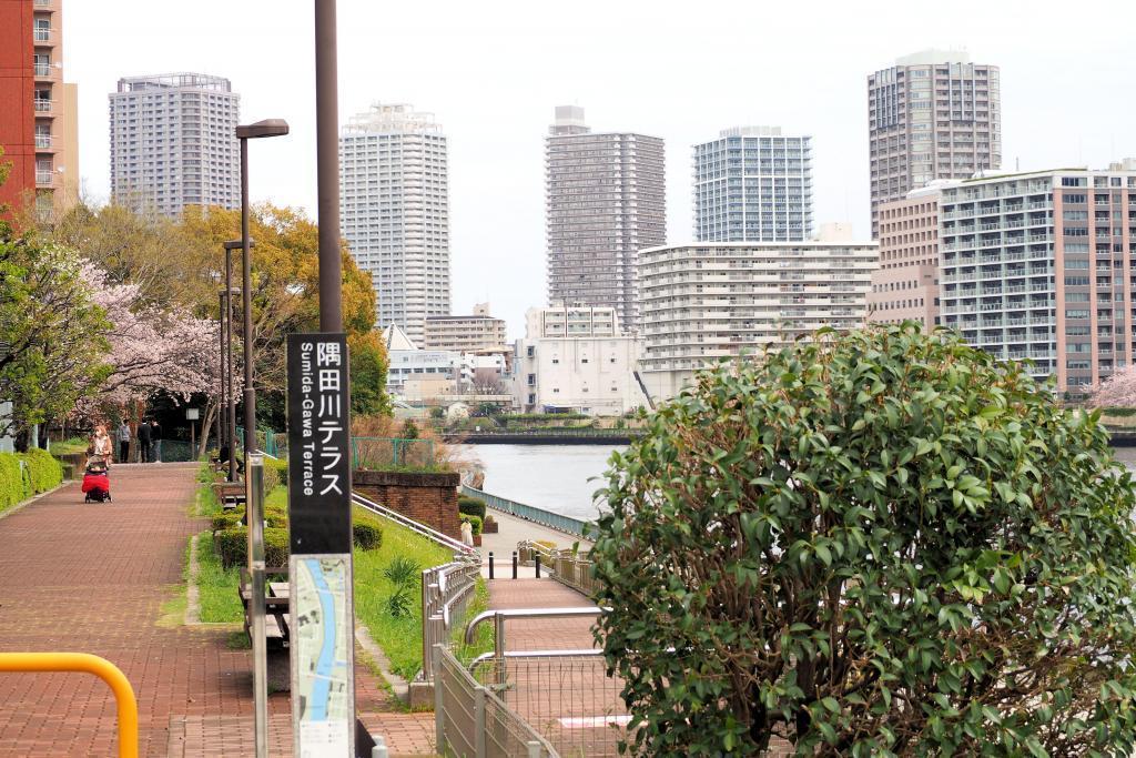  I want to roll a large ball in Sumida River Hatoba Park