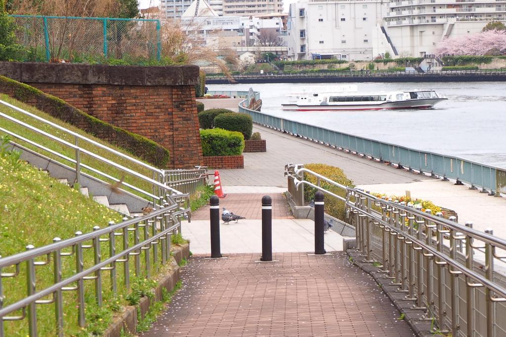  I want to roll a large ball in Sumida River Hatoba Park