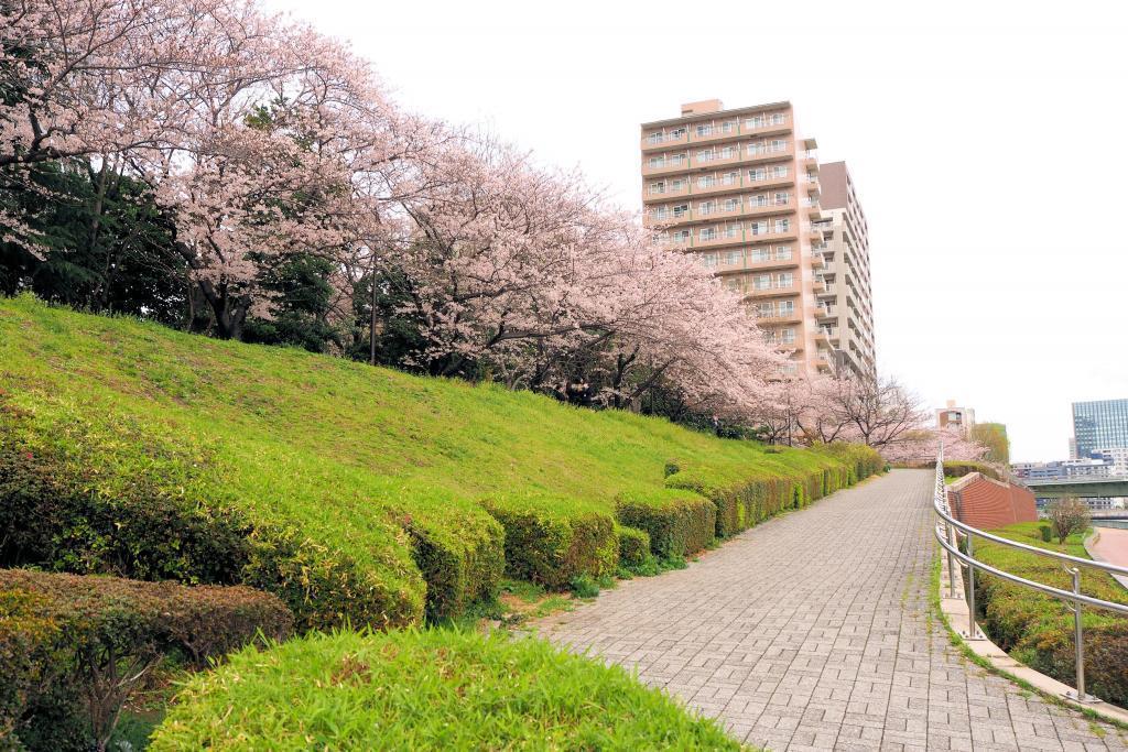  I want to roll a large ball in Sumida River Hatoba Park