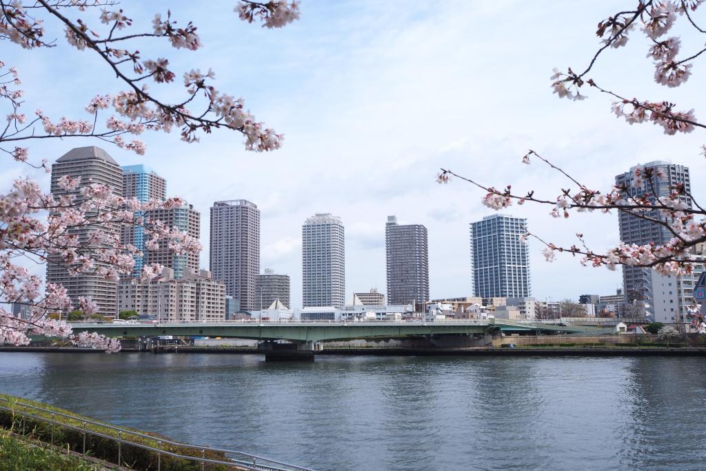  I want to roll a large ball in Sumida River Hatoba Park