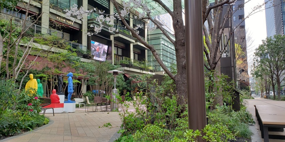  "Edo Sakura-dori St." is full of cherry blossoms.