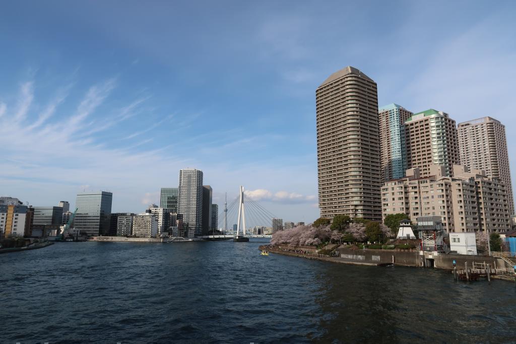 Spring performance from Chuo-ohashi Bridge to Tsukuda-ohashi Bridge! Let's walk The second part of "Tokyo Sky Tree" seen from the Sumida River Terrace