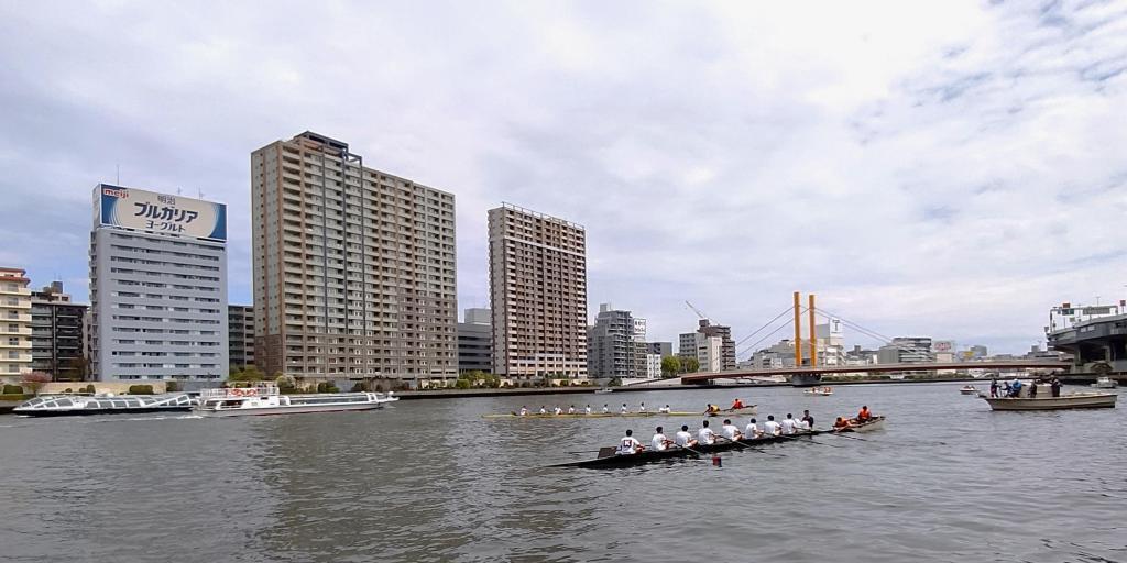 The 91st Waseda-Keio Regatta, Spring feature of the Sumida River upstream of Shinohashi