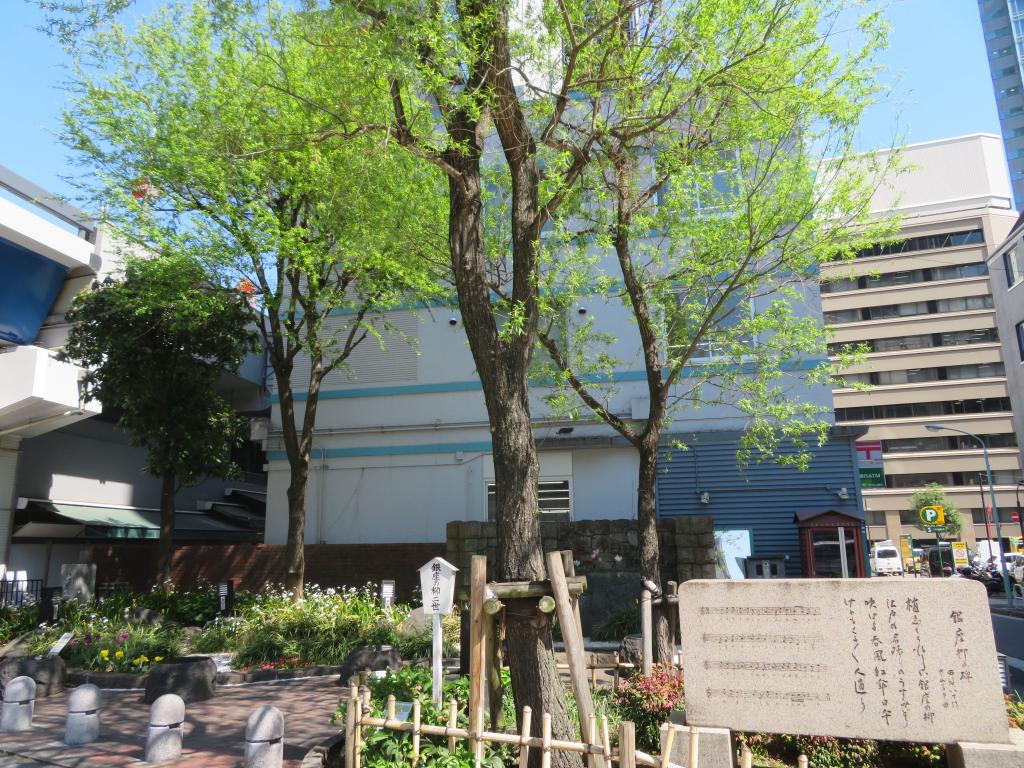 Monument of willow in Ginza　♪ "Ginza's willows" Ginza willow Festival dancing in the spring breeze of Ginza that is nice to plant.