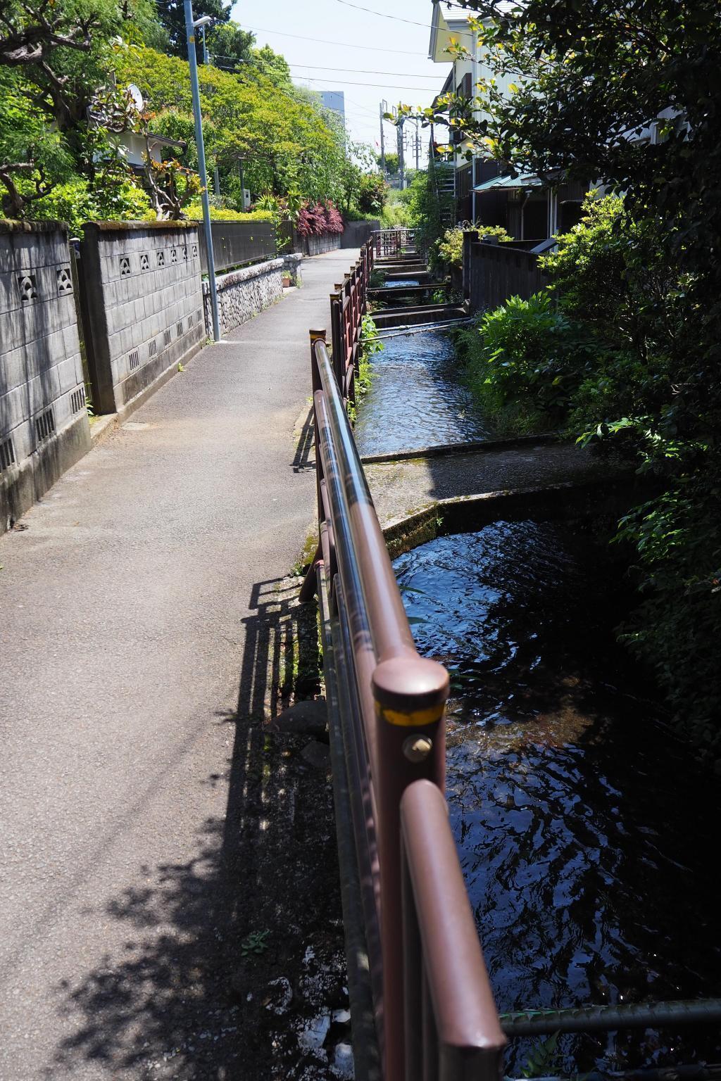  Chuo-ku and Tsukiji's headwater-Odawara