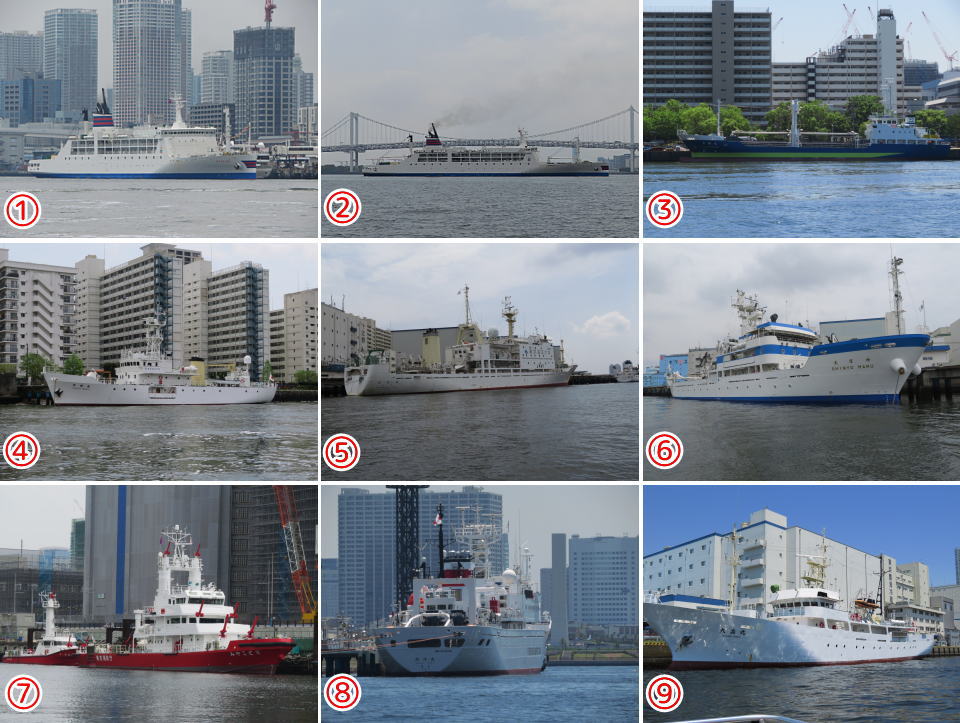 Ships, ships, ships, bicycles are allowed! Fun Tokyo Bay Liner