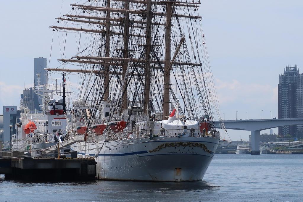 Nippon Maru / Harumi Wharf is a large collection of vehicles!
[Toyomi Fisheries Wharf/Tsukishima Wharf] (for kids)