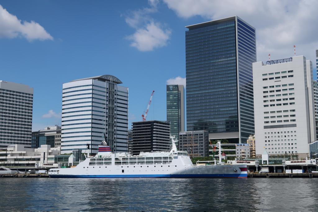 Ogasawara Maru / Takeshiba Passenger Ship Terminal (Minato-ku) A large collection of working vehicles!
[Toyomi Fisheries Wharf/Tsukishima Wharf] (for kids)