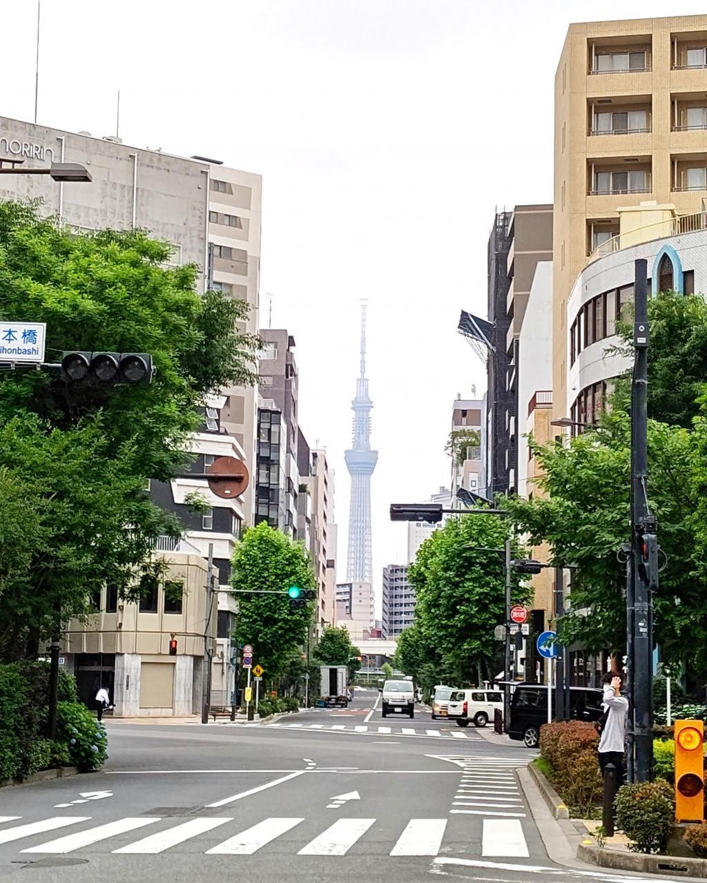 Information boards for "Miyuki-dori" by Emperor Showa Rinyuki and the monument Higashinihombashi are also available at the "Remains of Prefectural Residence".