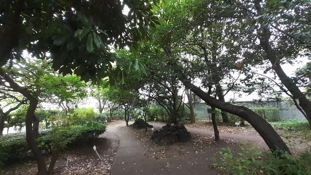  "Fruit and Herb Sample Garden" where karin and sage grow.