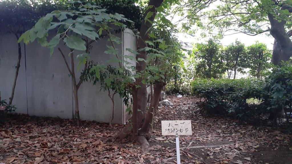  "Fruit and Herb Sample Garden" where karin and sage grow.