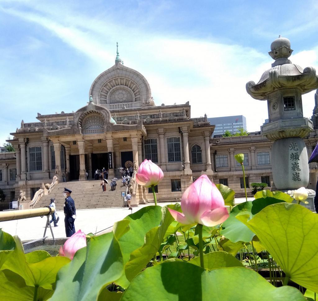 Lotus Hanasaki There is a white broom cloud Tsukiji Honganji June worship card and lotus flower in the sky.