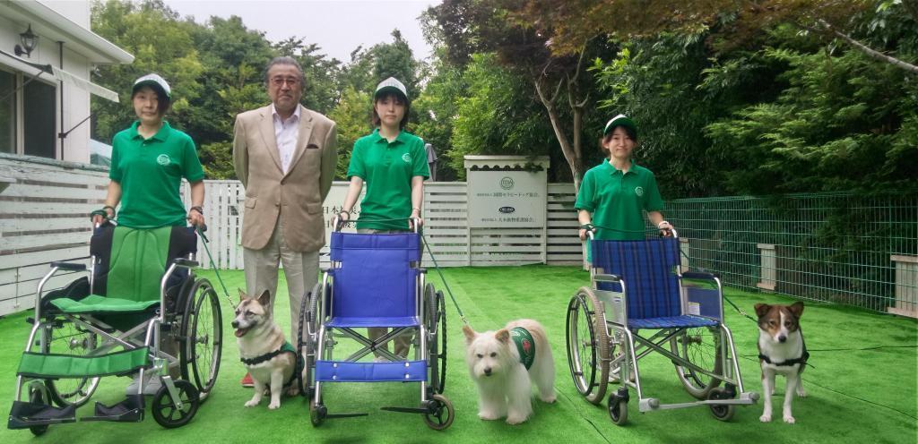 After finishing training to snuggle up to a wheelchair, Toru Oki, a well-known dog and a growing parent.