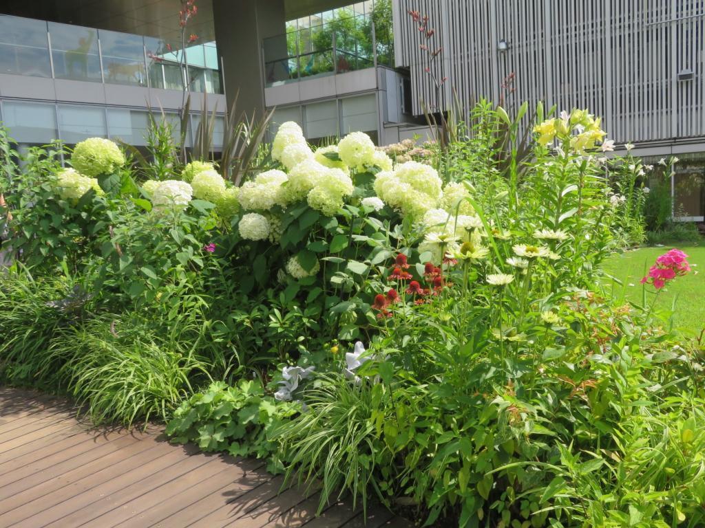 "Mitsukoshi Ginza Store" Rooftop Garden (Rooftop Terrace) It is extremely hot…Visit the rooftop garden in Chuo-ku
