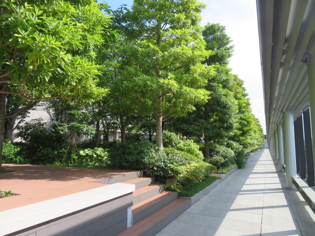  It's extremely hot.…Visit the rooftop garden in Chuo-ku
