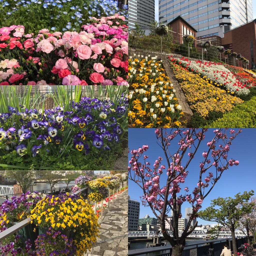 See and enjoy ♪ "Harumi Triton Square" to enjoy with the five senses of flower terrace