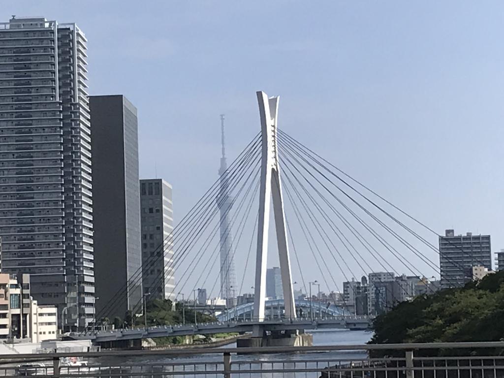 12 bridges of Chuo-ohashi Bridge Sumida River are now lit up.