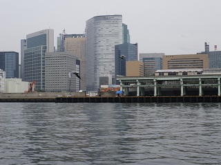  Tsukiji Market Afterwards