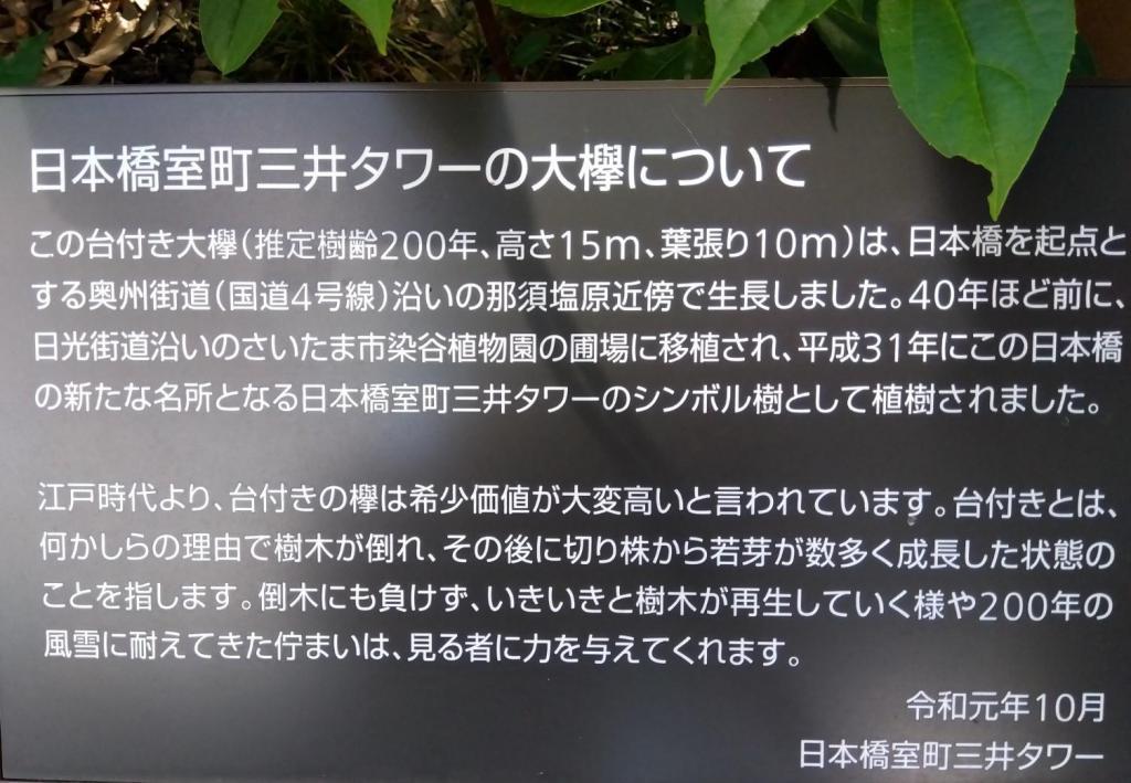 About Dai Keyaki Dai Keyaki at Nihonbashi Muromachi Mitsui Tower　