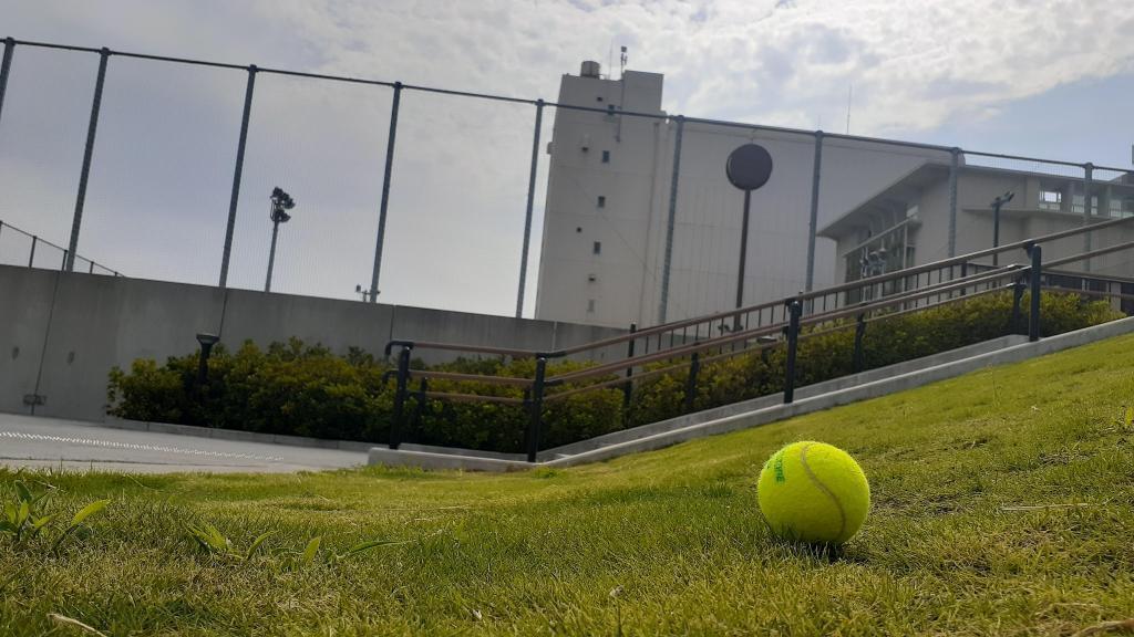  Attraction of Toyomi Sports Park, a secret spot known to those who know it