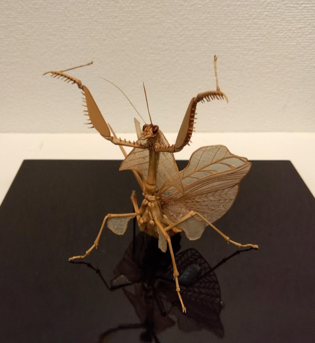 Art Gallery Art Morimoto INSECTS Until August 6
