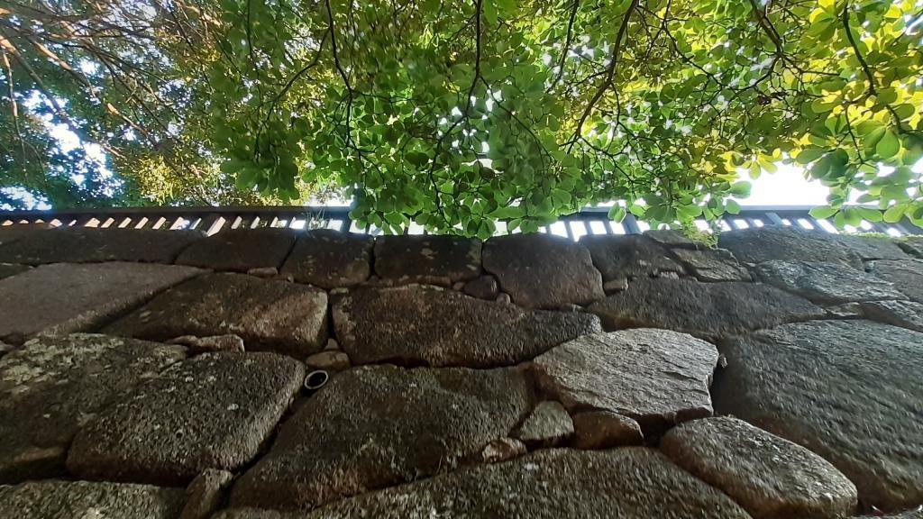  It wasn't just a stone! The identity of the stone wall remaining in Tsukuda Park