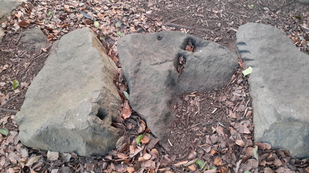  It wasn't just a stone! The identity of the stone wall remaining in Tsukuda Park