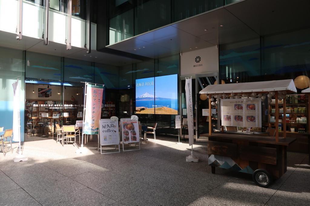 Although it is an underpass, the sun is different. Exploration of the Chuo-ku underpass [Mitsukoshi-mae, Shin-Nihonbashi]
(for kids)