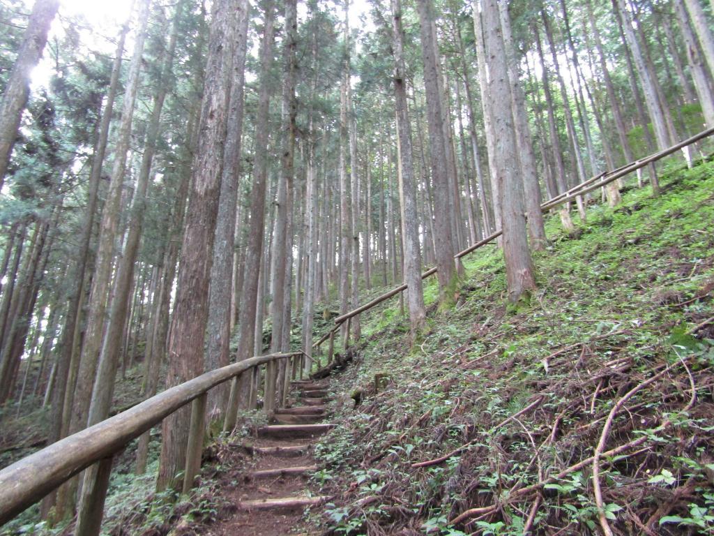  Let's touch the forest this fall! "Mori of Chuo-ku" Introduction Exhibition