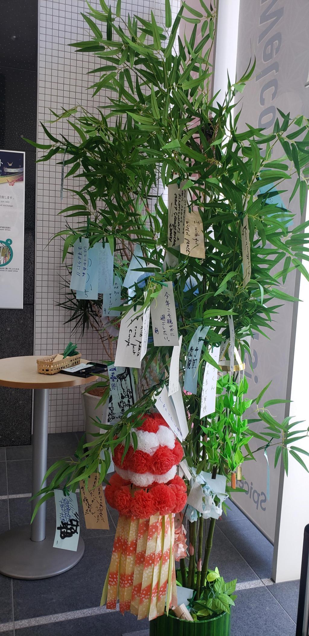 Tanabata Decoration of bamboo leaves International Paper Pulp Trading Co., Ltd.