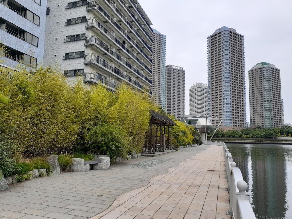  [Morning activities along the Sumida River] Running course that is easy for beginners