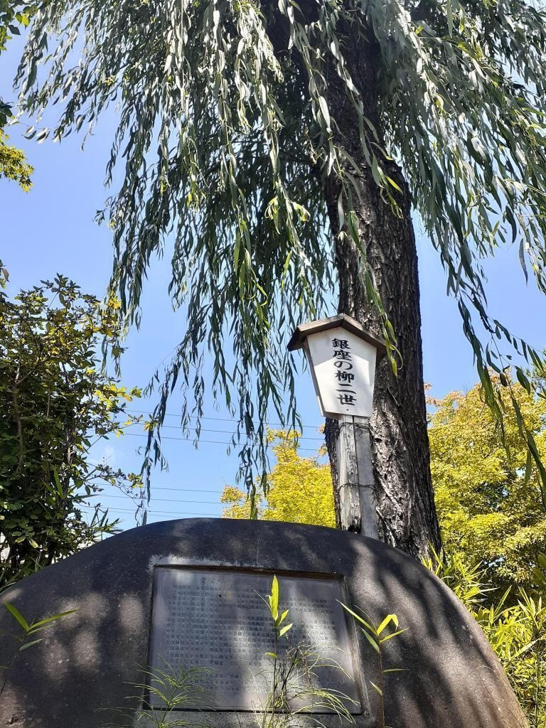  [Excursion Series No. 51] The tree-lined road of Yanagi Nisei in Ginza in Iiyama City