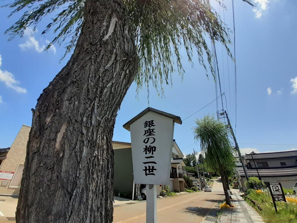  [Excursion Series No. 51] The tree-lined road of Yanagi Nisei in Ginza in Iiyama City