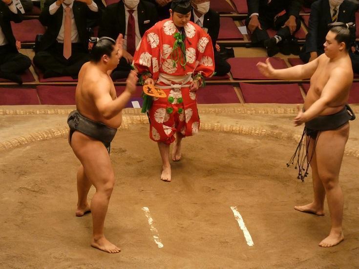  Sumo wrestling (Arashio room)