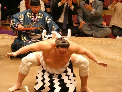  Sumo wrestling (Arashio room)