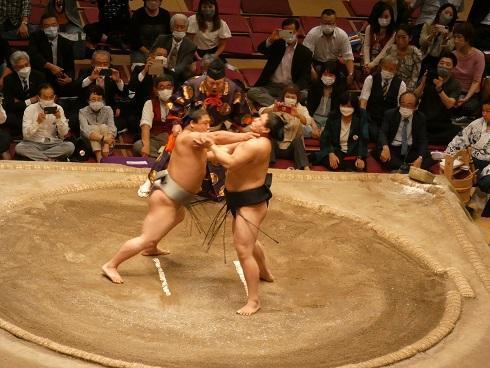  Sumo wrestling (Arashio room)