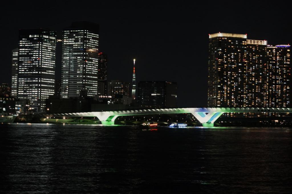 Behind the Toyosu Ohashi Bridge is the Tokyo Sky Tree! The night view of Chuo-ku from the opposite bank