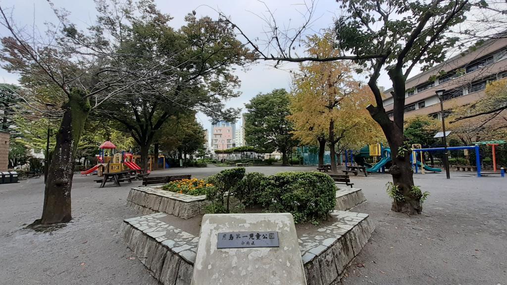  Chuo City Library and Book Forest Chuo