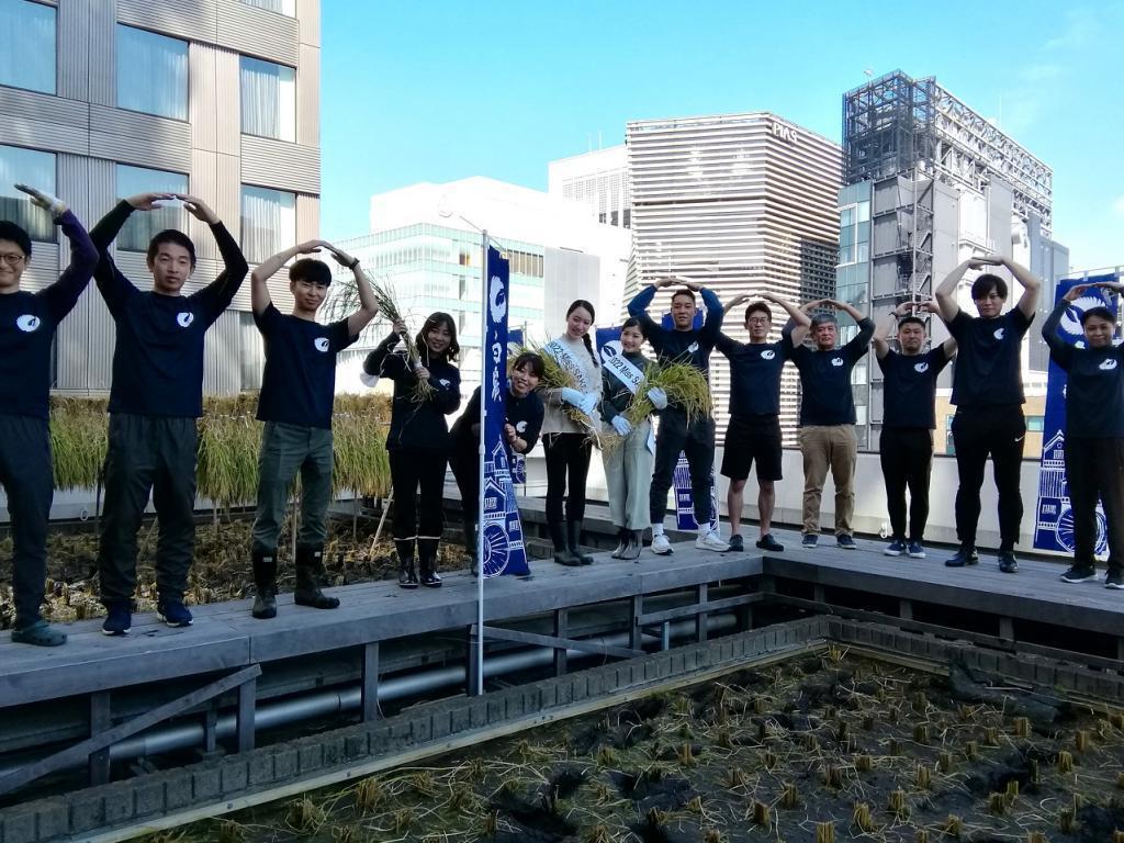  2022 Hakutsuru Ginza Tenku Farm
　Rice harvesting
　　~ Hakutsuru Sake Brewery ~