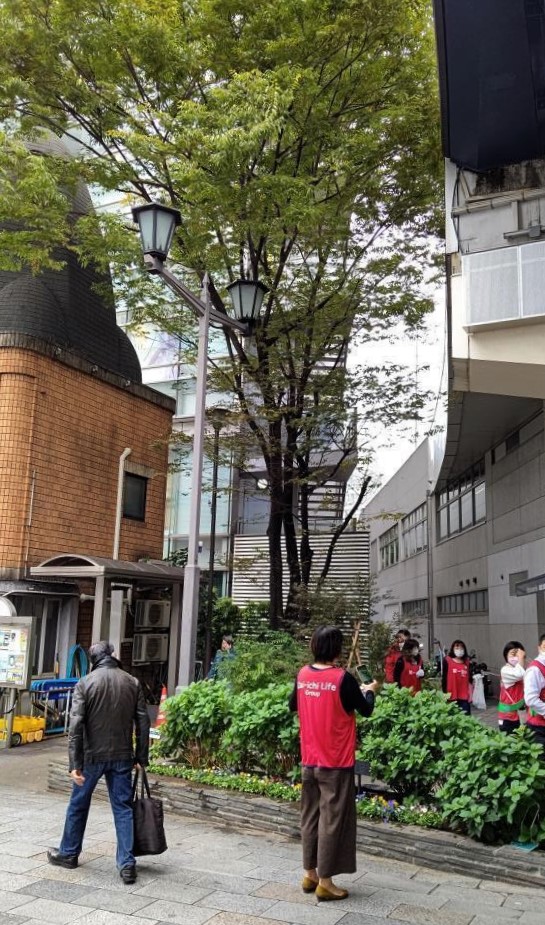  Cleaning and care of flower beds in Kyobashi