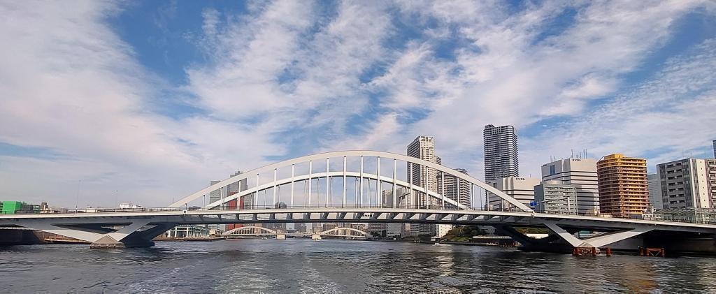  From the rooftop deck of the houseboat, Sumida River