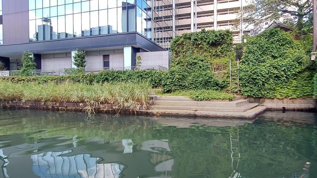  From the rooftop deck of the houseboat, Sumida River