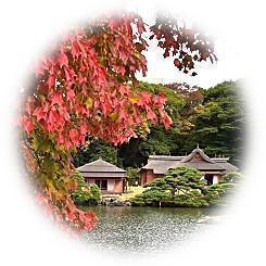  2022 Daimyo Garden dyed in autumn colors