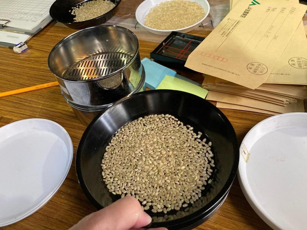  2022 Hakutsuru Ginza Tenku Farm
Grade inspection of the harvested sake rice
　　~ Hakutsuru Sake Brewery ~