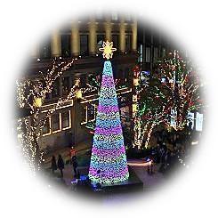  Kyobashi Edgrancrysmoth Illumination 2022