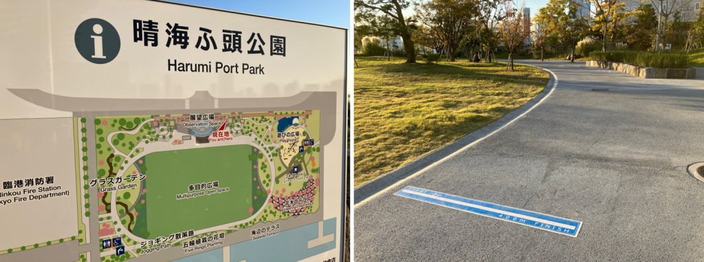 Run the jogging walking paths "Harumi Wharf Park" and "Harumi Ryokudo Park" where runners are pleased.