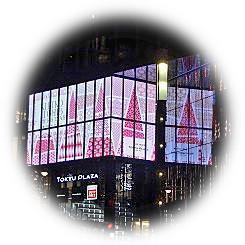  ≪TOKYU PLAZA GINZA / KIRIKO LIGHTS CHRISTMAS≫