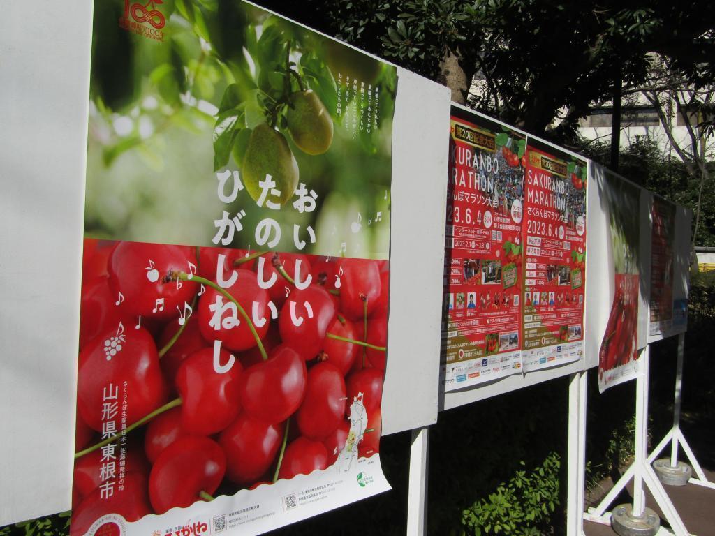  Held for the first time in 4 years! Participation report of the 22nd Chuo-ku Snow Festival