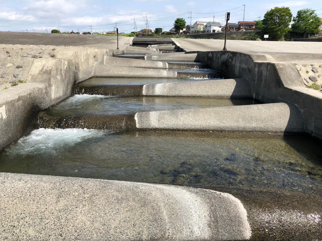 There are also fishways Tamagawajosui and Hamura Intake Weir